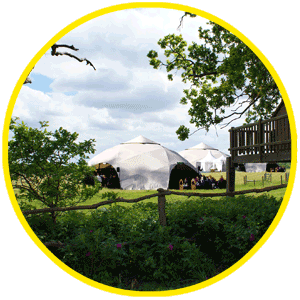 Eternal Knowledge Festival