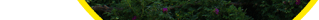 Eternal Knowledge Festival Eternal Knowledge Festival