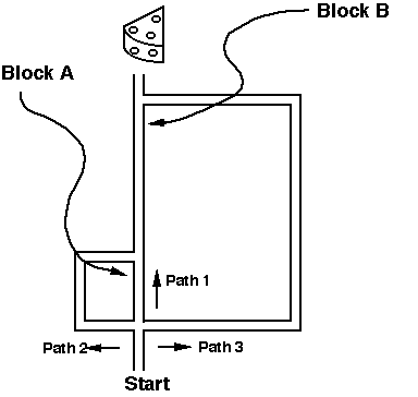 Tolman's maze experiment